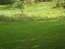 Cliquer pour agrandir